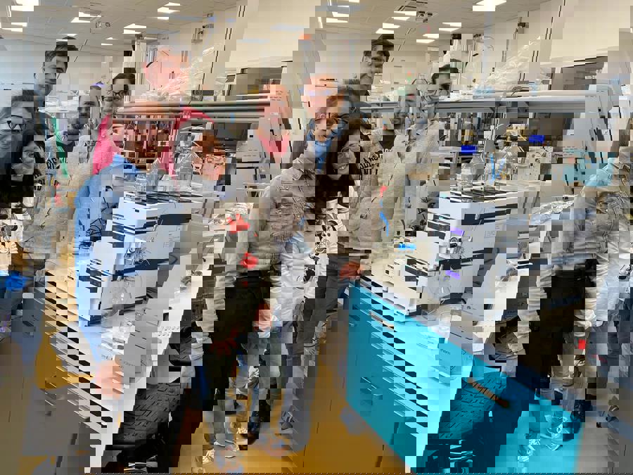 Letizia Bocchi and colleagues.