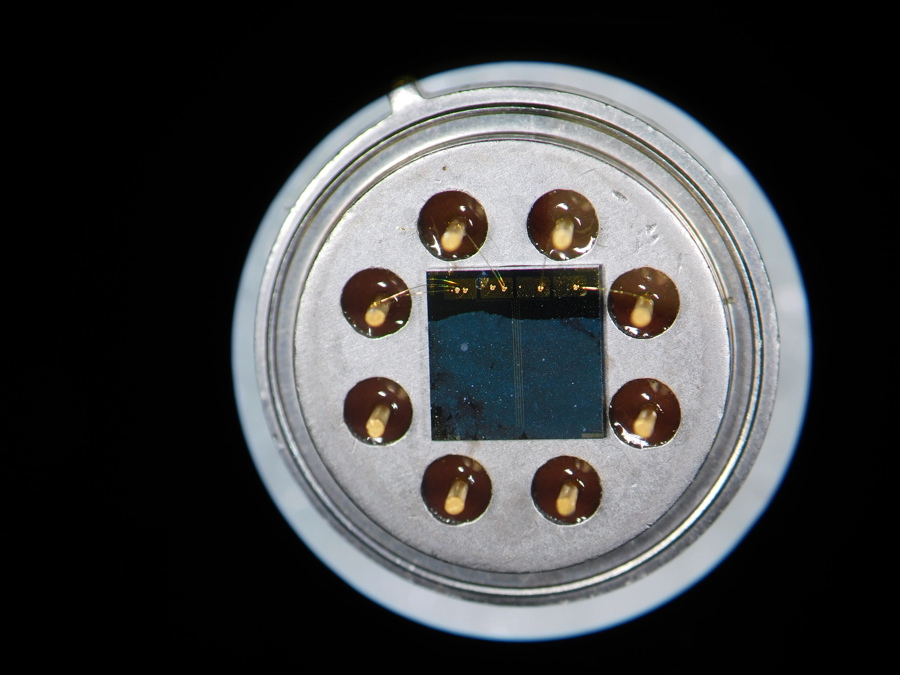 Graphene gas sensor developed by Marko Spasenović and colleagues. Credit: Marko Spasenović