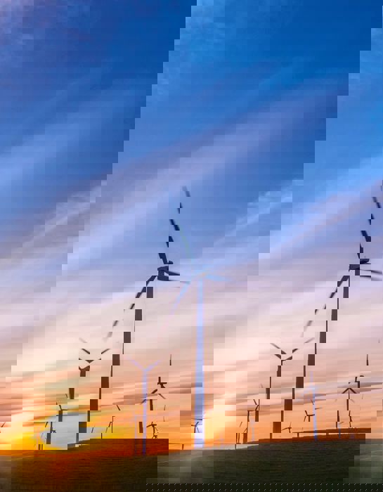 Wind turbines in rural landscape at sunset.