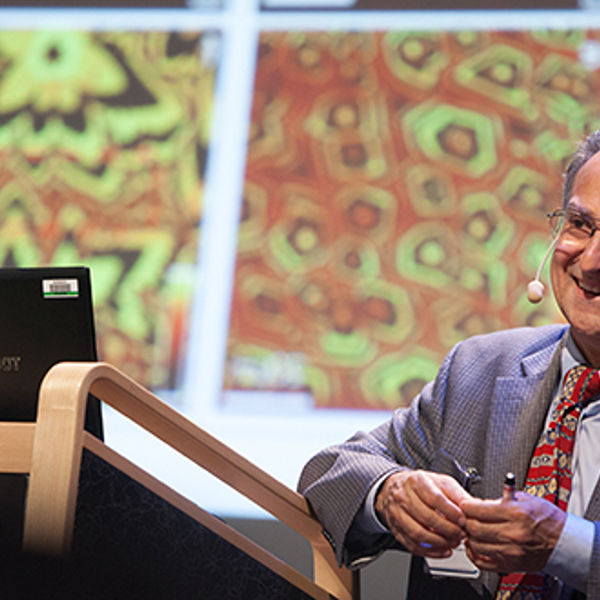 Portrait Luigi Colombo