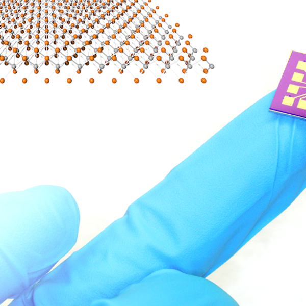 Ultra-Fast, Ultra-Sensitive PtSe2 Gas Sensors