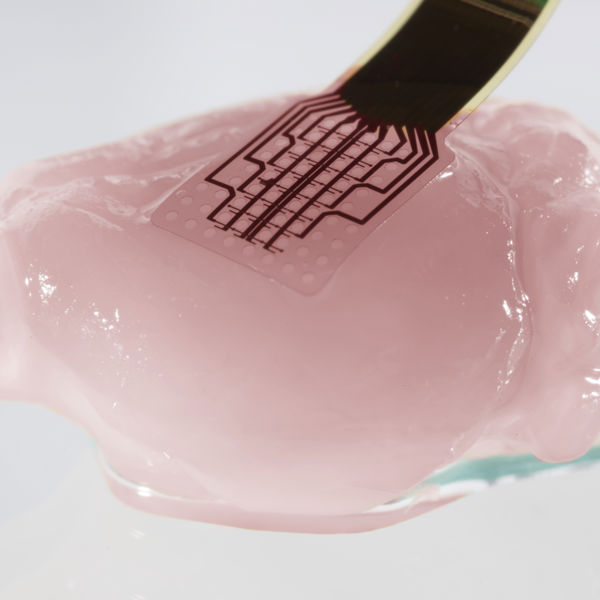 Graphene-enabled brain implant.