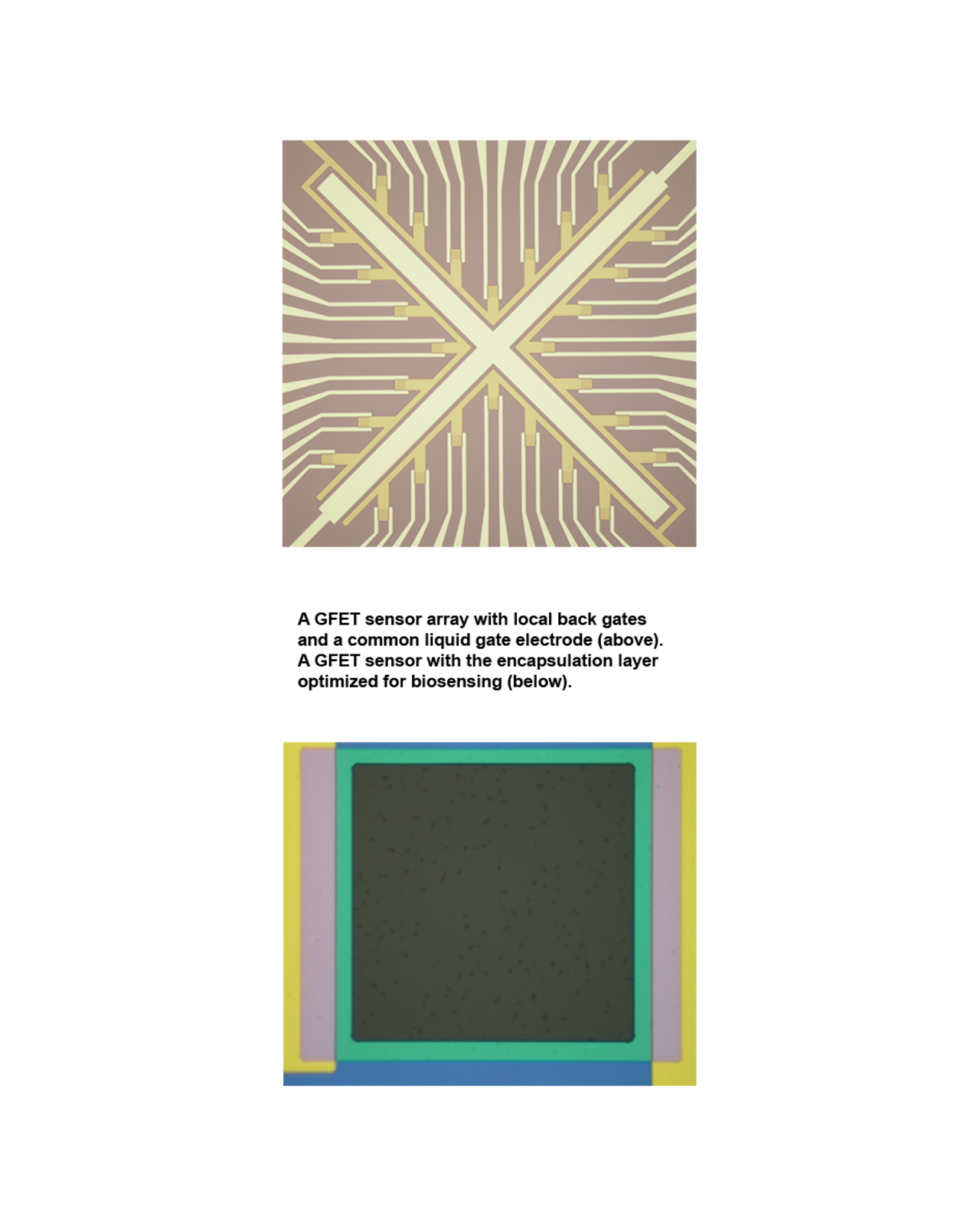 A schematic of the baseline process.