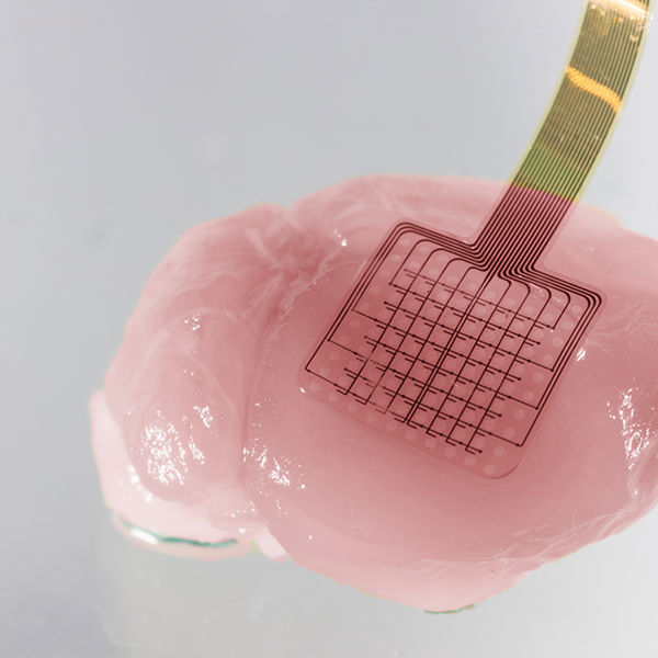 neural probe with graphene 