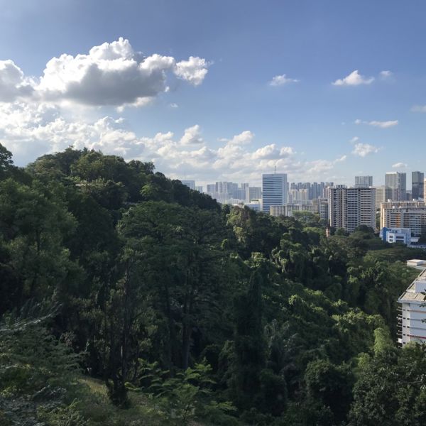 View over Singapore