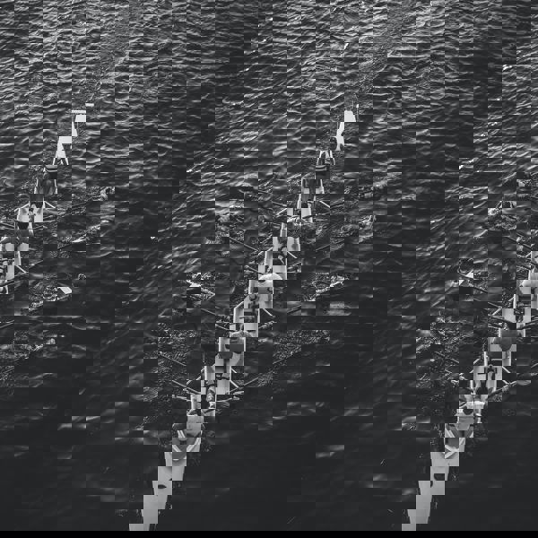 Our partnering division fosters collaboration across institutions